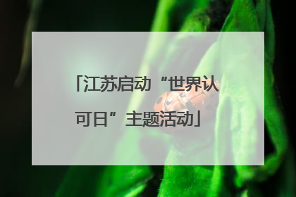 江苏启动“世界认可日”主题活动