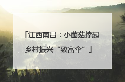 江西南昌：小菌菇撑起乡村振兴“致富伞”