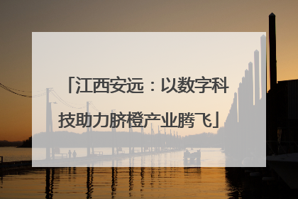 江西安远：以数字科技助力脐橙产业腾飞