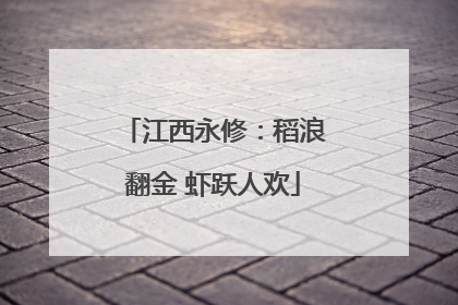 江西永修：稻浪翻金 虾跃人欢
