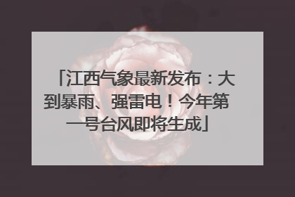 江西气象最新发布：大到暴雨、强雷电！今年第一号台风即将生成
