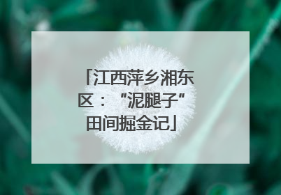 江西萍乡湘东区：“泥腿子”田间掘金记