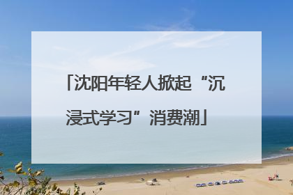 沈阳年轻人掀起“沉浸式学习”消费潮