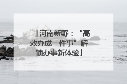 河南新野：“高效办成一件事”解锁办事新体验