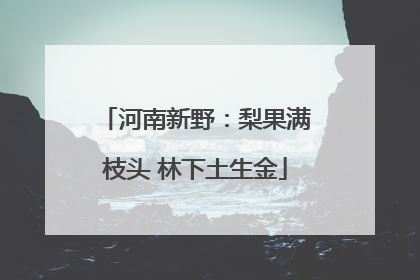 河南新野：梨果满枝头 林下土生金