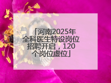 河南2025年全科医生特设岗位招聘开启，120个岗位虚位