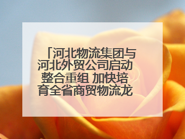 河北物流集团与河北外贸公司启动整合重组 加快培育全省商贸物流龙头企业