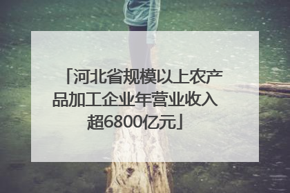 河北省规模以上农产品加工企业年营业收入超6800亿元