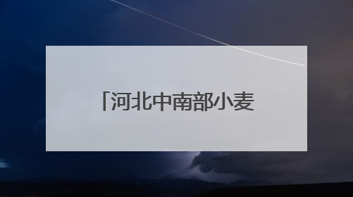 河北中南部小麦长势良好 积极应对干热风挑战