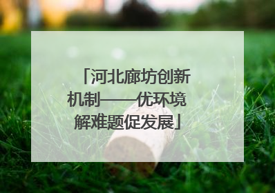 河北廊坊创新机制——优环境解难题促发展