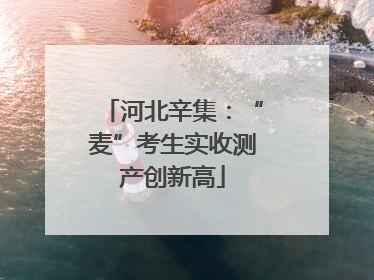 河北辛集：“麦”考生实收测产创新高