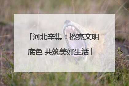 河北辛集：擦亮文明底色 共筑美好生活