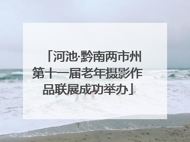 河池·黔南两市州第十一届老年摄影作品联展成功举办