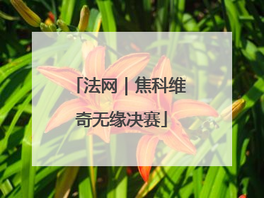 法网｜焦科维奇无缘决赛