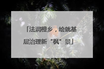 法润橙乡，绘就基层治理新“枫”景