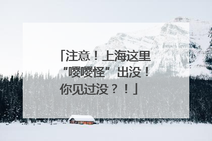 注意！上海这里“嘤嘤怪”出没！你见过没？！