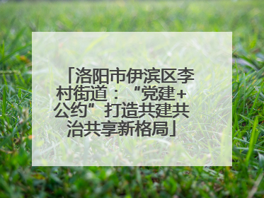 洛阳市伊滨区李村街道：“党建+公约”打造共建共治共享新格局