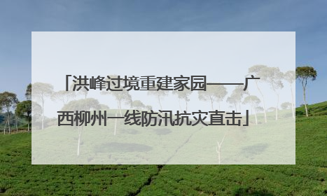 洪峰过境重建家园——广西柳州一线防汛抗灾直击