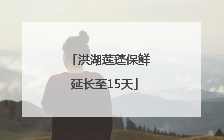 洪湖莲蓬保鲜延长至15天
