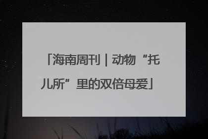 海南周刊｜动物“托儿所”里的双倍母爱