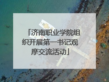 济南职业学院组织开展第一书记观摩交流活动