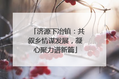 济源下冶镇：共叙乡情谋发展，凝心聚力谱新篇