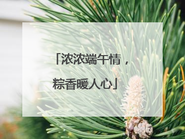 浓浓端午情，粽香暖人心