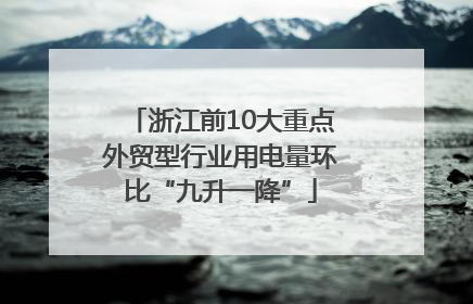 浙江前10大重点外贸型行业用电量环比“九升一降”