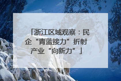 浙江区域观察：民企“青蓝接力”折射产业“向新力”