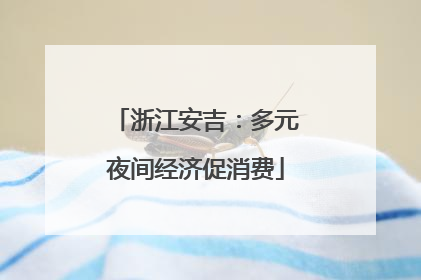 浙江安吉：多元夜间经济促消费