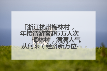 浙江杭州梅林村，一年接待游客超5万人次——梅林村，满满人气从何来（经济新方位·农村消费观察）