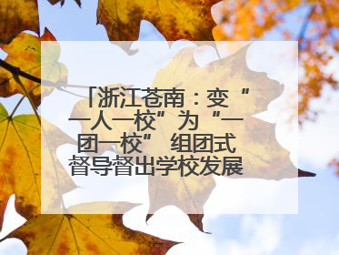 浙江苍南：变“一人一校”为“一团一校” 组团式督导督出学校发展加速度