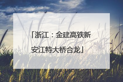 浙江：金建高铁新安江特大桥合龙