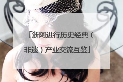 浙阿进行历史经典（非遗）产业交流互鉴