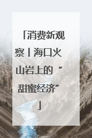 消费新观察丨海口火山岩上的“甜蜜经济”