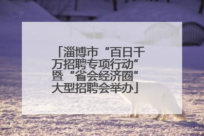 淄博市“百日千万招聘专项行动”暨“省会经济圈”大型招聘会举办