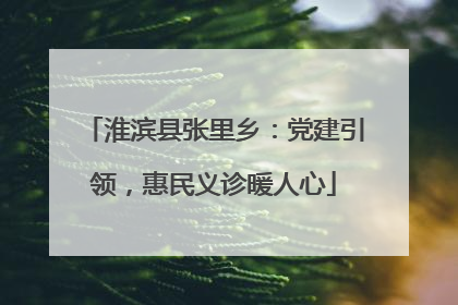 淮滨县张里乡：党建引领，惠民义诊暖人心