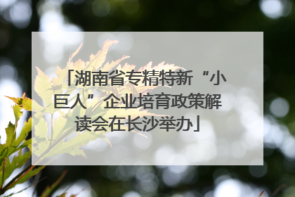 湖南省专精特新“小巨人”企业培育政策解读会在长沙举办