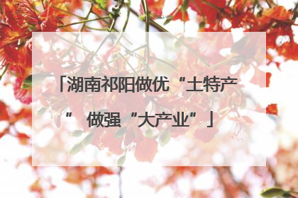 湖南祁阳做优“土特产” 做强“大产业”
