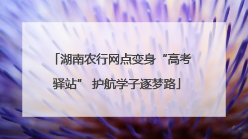 湖南农行网点变身“高考驿站” 护航学子逐梦路