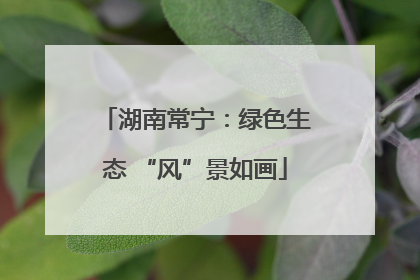 湖南常宁：绿色生态 “风”景如画