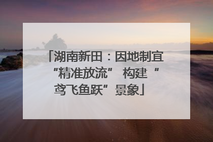 湖南新田：因地制宜“精准放流” 构建“鸢飞鱼跃”景象