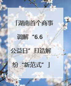 湖南首个商事调解“6.6 公益日”打造解纷“新范式”