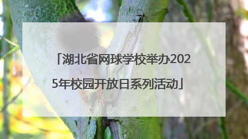 湖北省网球学校举办2025年校园开放日系列活动
