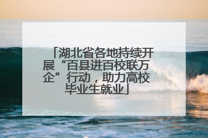 湖北省各地持续开展“百县进百校联万企”行动，助力高校毕业生就业