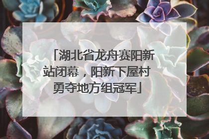 湖北省龙舟赛阳新站闭幕，阳新下屋村勇夺地方组冠军