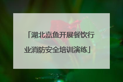 湖北嘉鱼开展餐饮行业消防安全培训演练