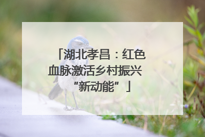 湖北孝昌：红色血脉激活乡村振兴“新动能”