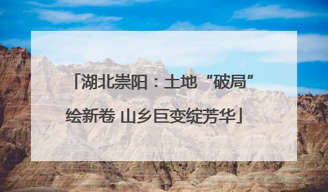 湖北崇阳：土地“破局”绘新卷 山乡巨变绽芳华