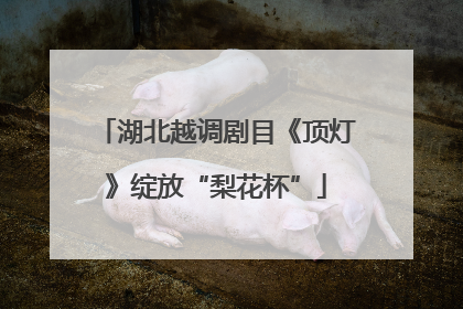 湖北越调剧目《顶灯》绽放“梨花杯”